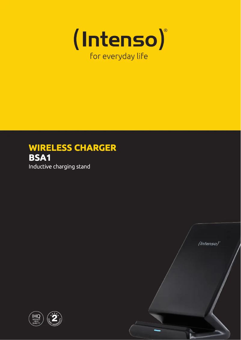 Página 1 del manual Ficha técnica Intenso BSA1