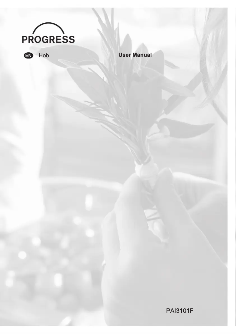 Page 1 de la notice Manuel utilisateur Progress PAI3101F