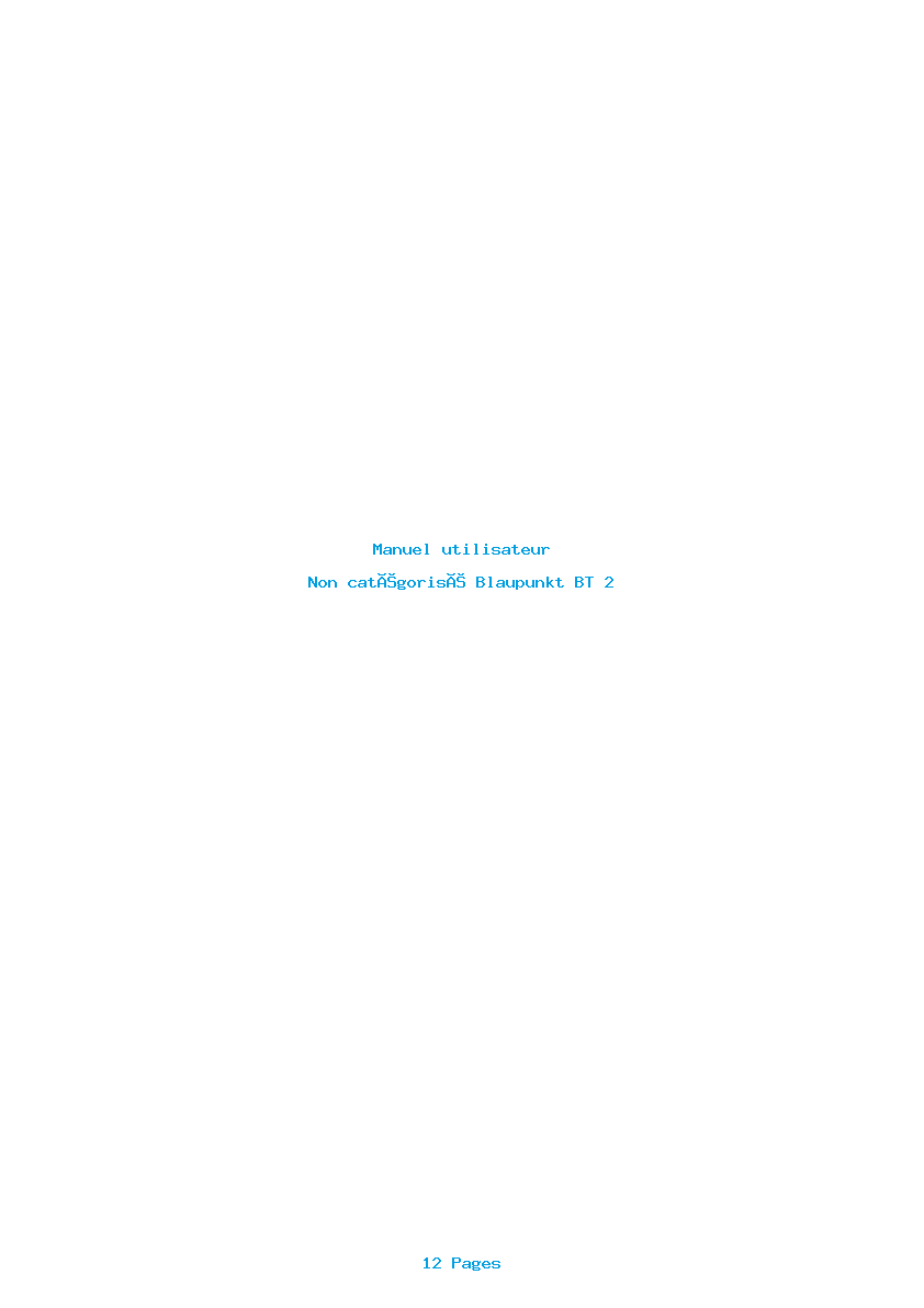 Page 1 de la notice Manuel utilisateur Blaupunkt BT 2