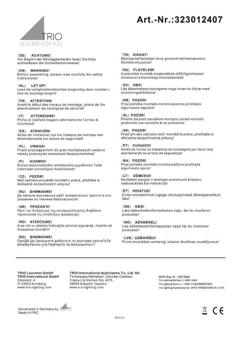 Page 1 de la notice Manuel utilisateur Trio Lighting Messina 323012407