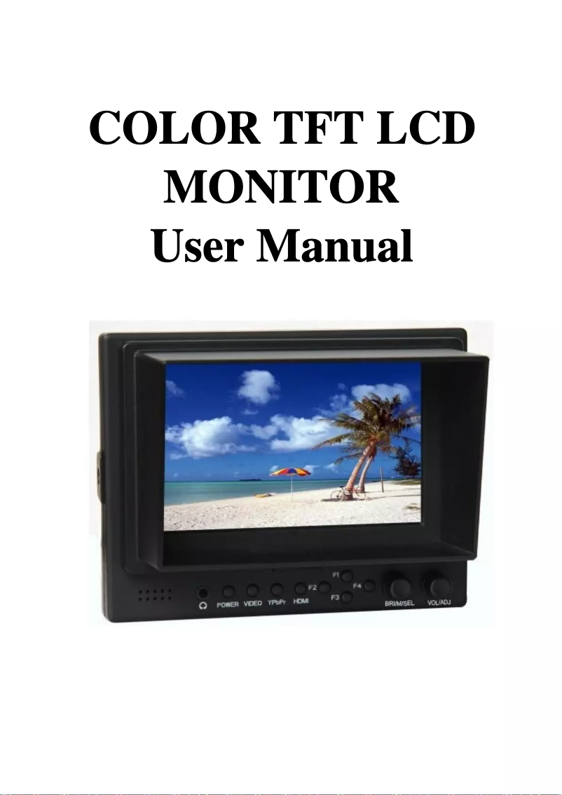 Page 1 de la notice Manuel utilisateur Lilliput 569