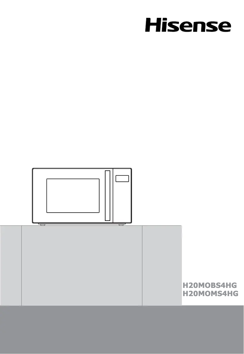 Page 1 of the manual User Manual Hisense H20MOMBS4HG