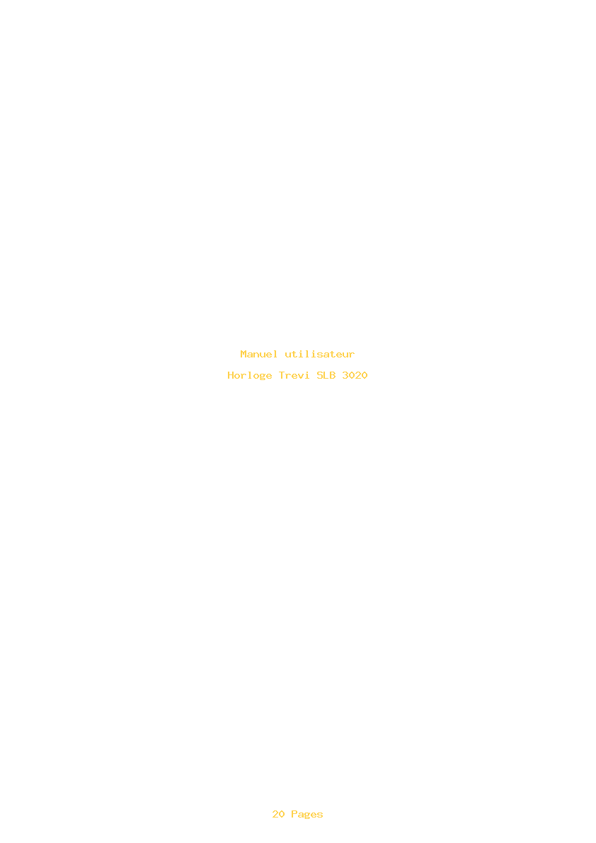 Page 1 de la notice Manuel utilisateur Trevi SLB 3020