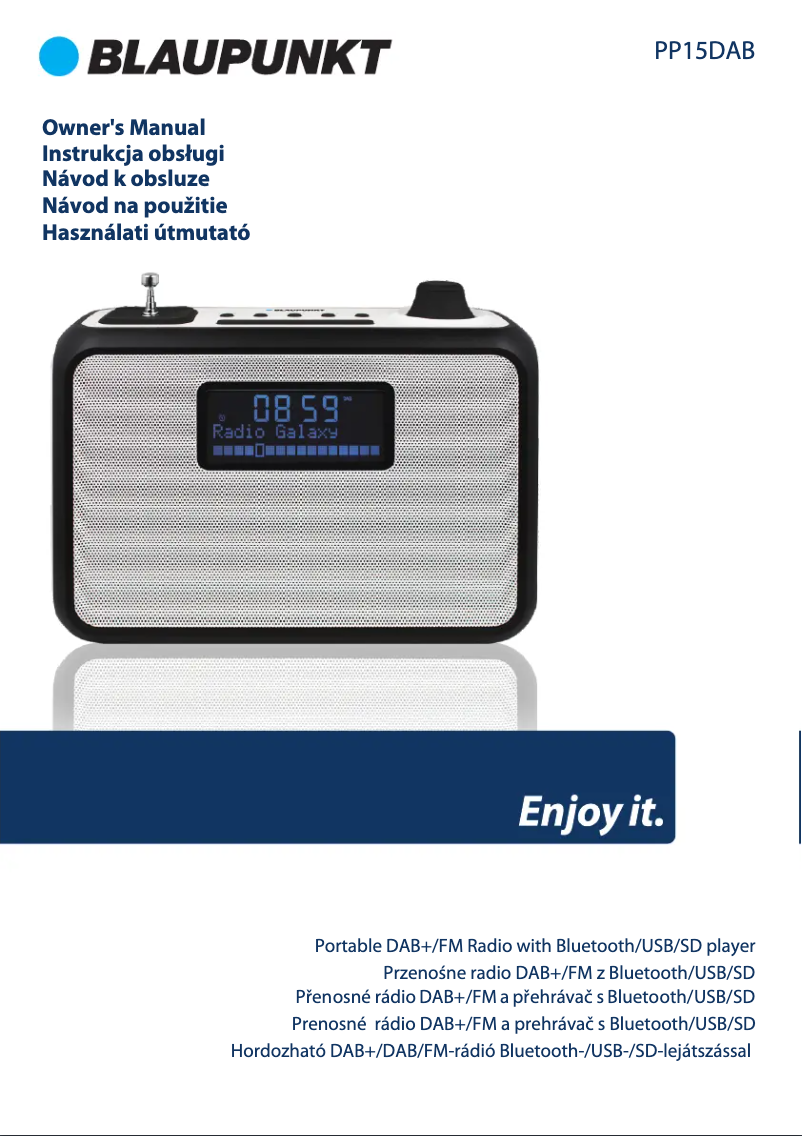 Página 1 del manual Manual de usuario Blaupunkt PP15DAB
