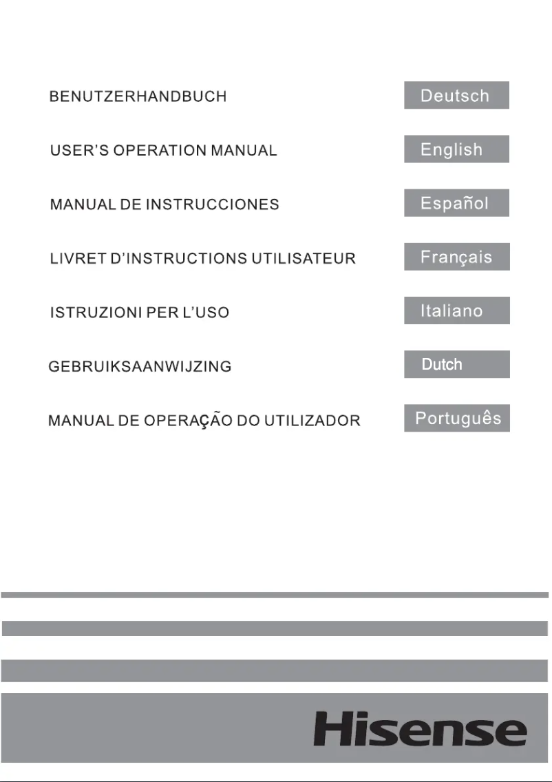 Page 1 de la notice Manuel utilisateur Hisense FV240N4AW1