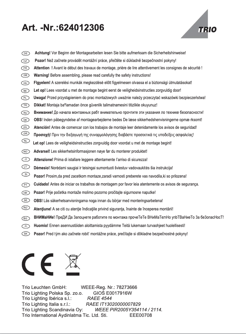Page 1 de la notice Manuel utilisateur Trio Lighting Nicolas 624012306