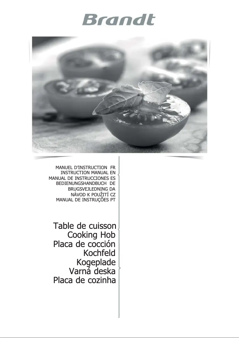 Page 1 de la notice Manuel utilisateur Brandt BPI6320X