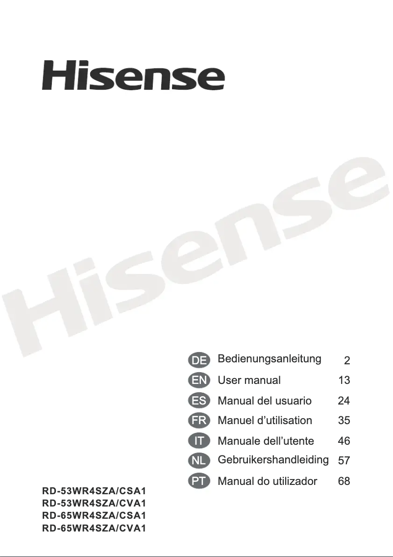 Page 1 de la notice Manuel utilisateur Hisense RD-53WR4SZA/CSA1