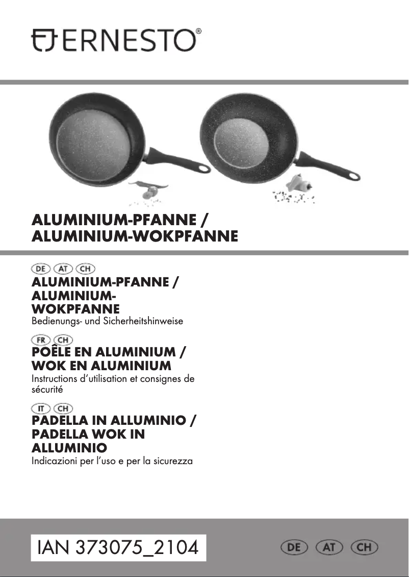 Page 1 de la notice Manuel utilisateur Ernesto IAN 373075