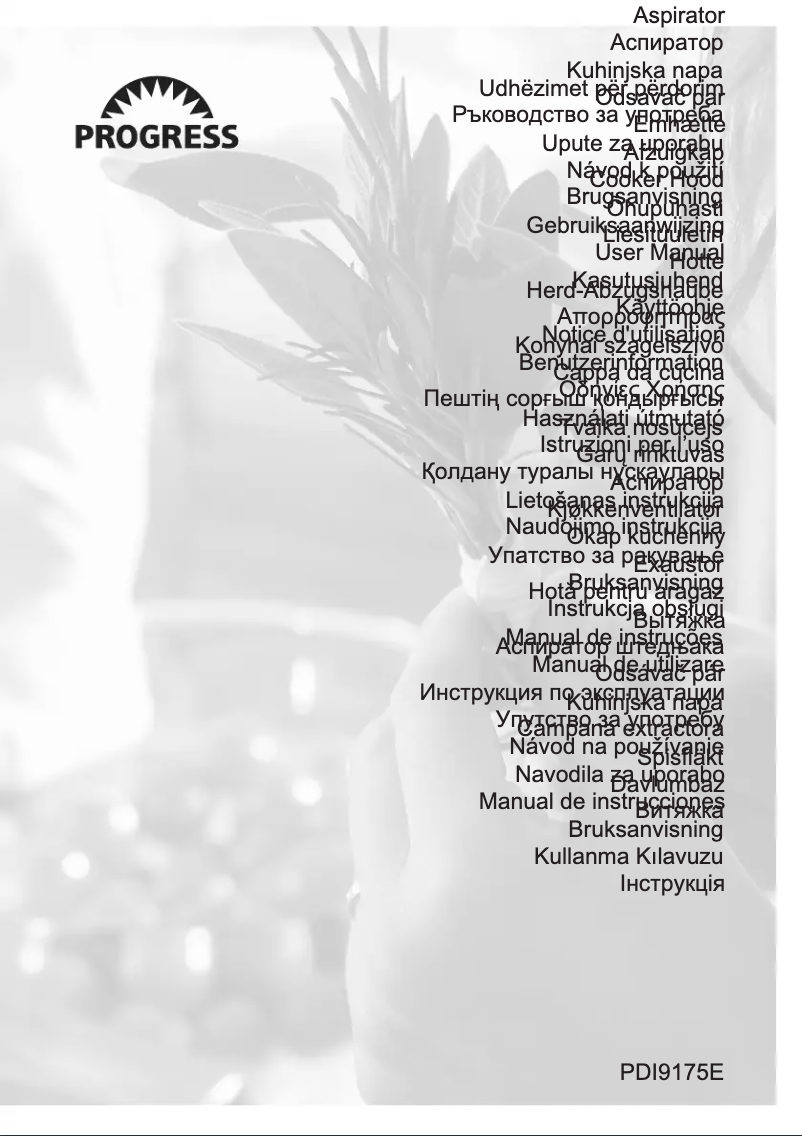 Page 1 de la notice Manuel utilisateur Progress PDI9175E