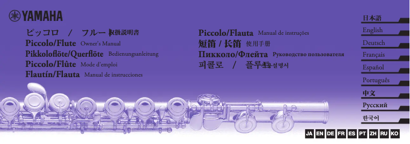 Page 1 de la notice Manuel utilisateur Yamaha Tipo C