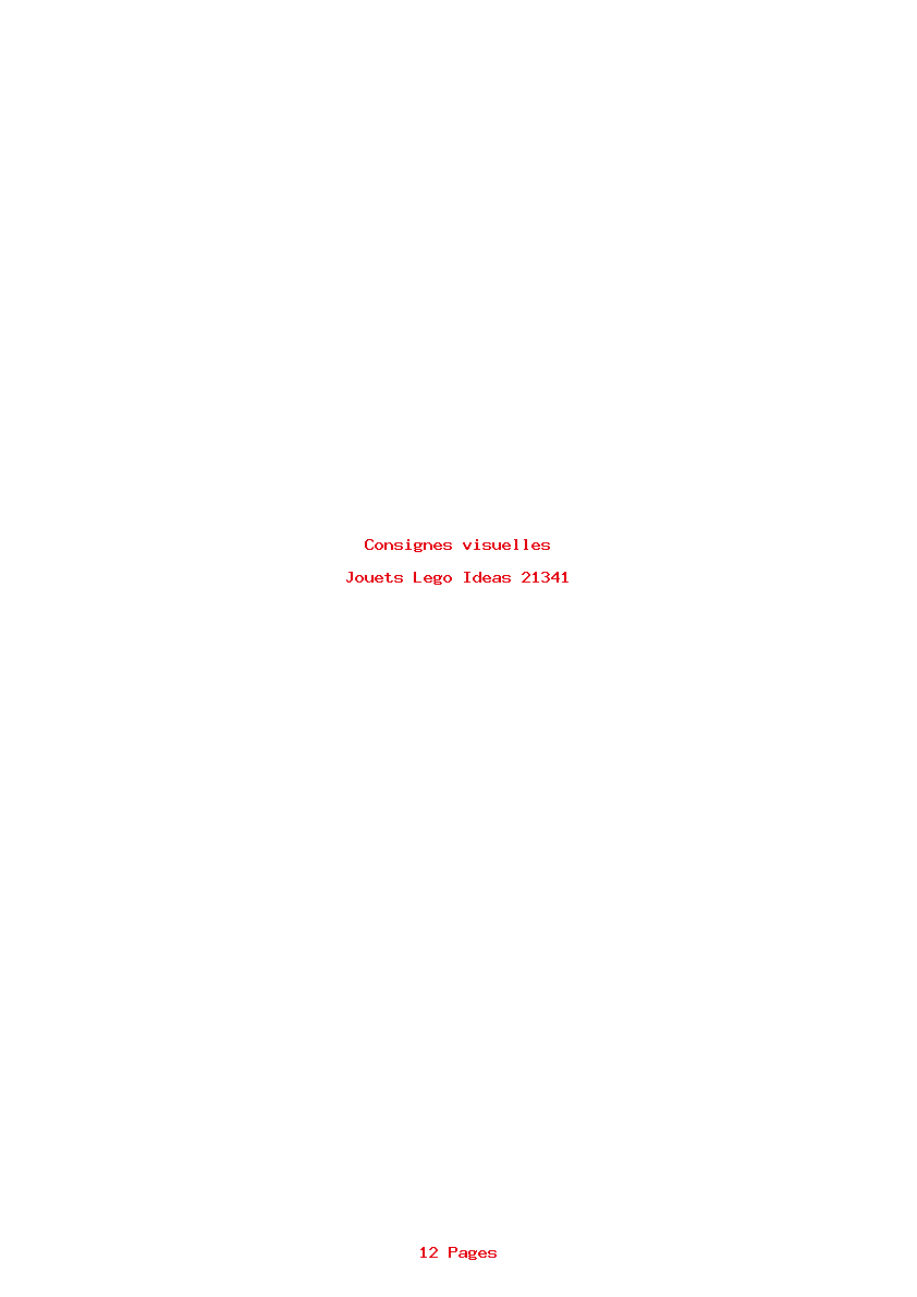 Page 1 de la notice Consignes visuelles Lego Ideas 21341