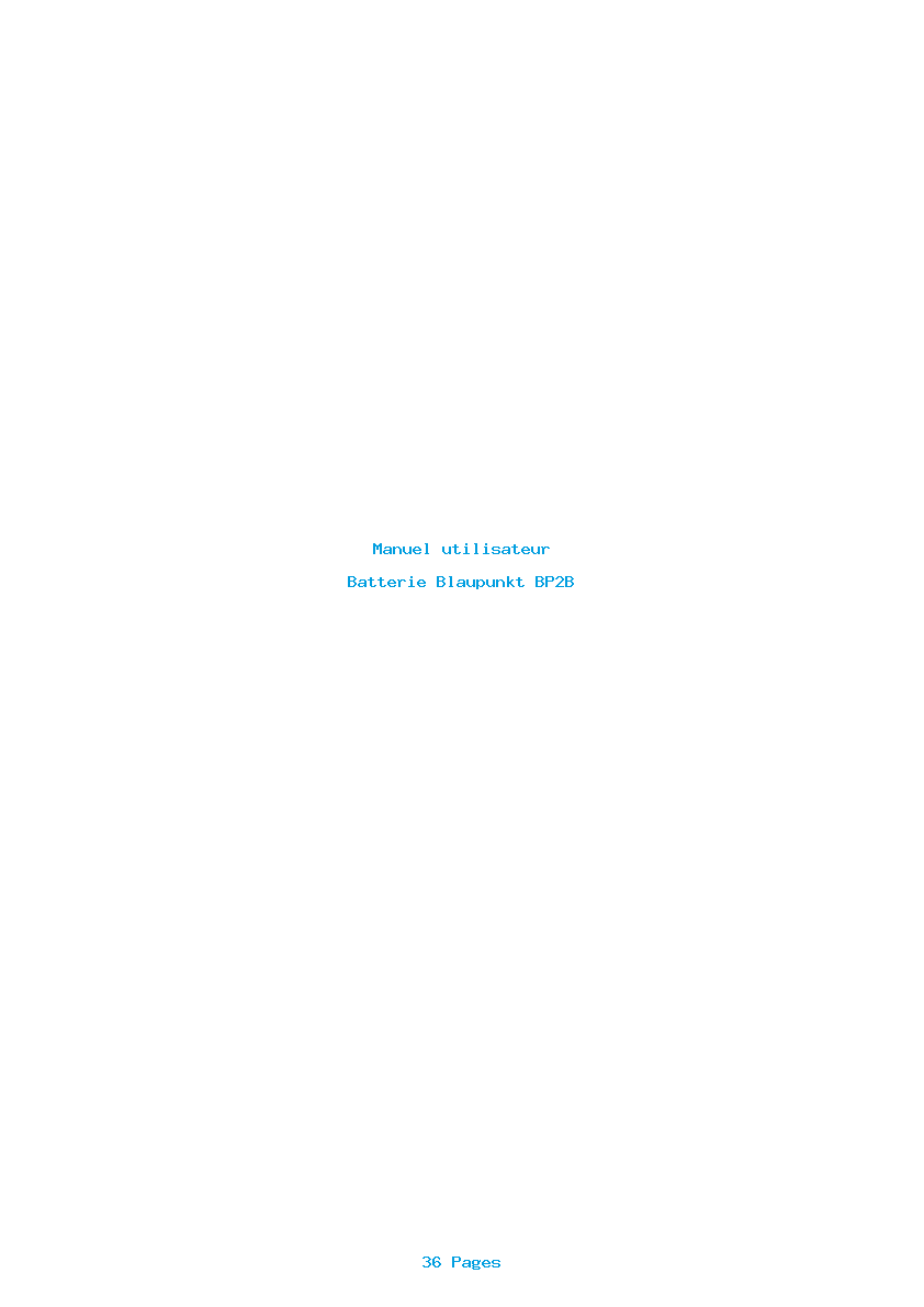 Page 1 de la notice Manuel utilisateur Blaupunkt BP2B