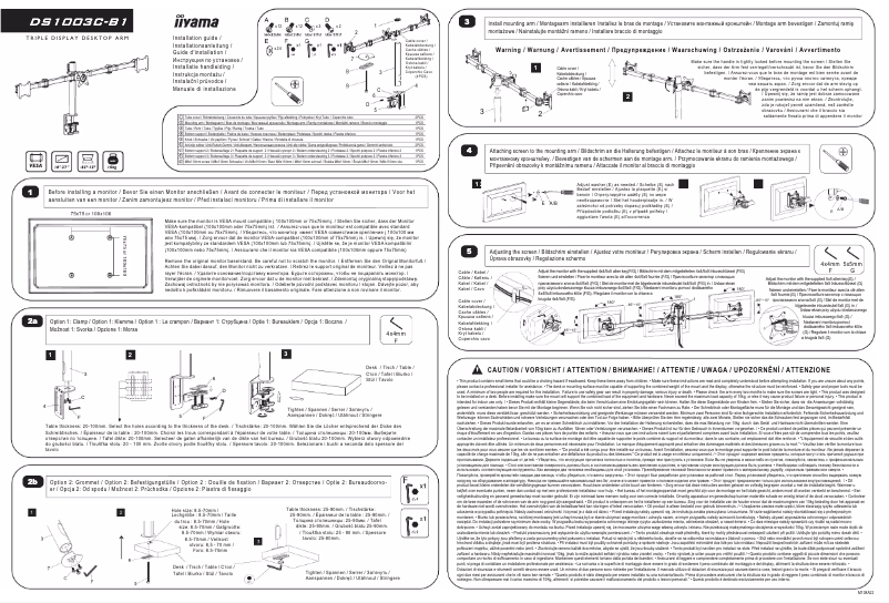 Page 1 de la notice Manuel utilisateur Iiyama DS1003C-B1