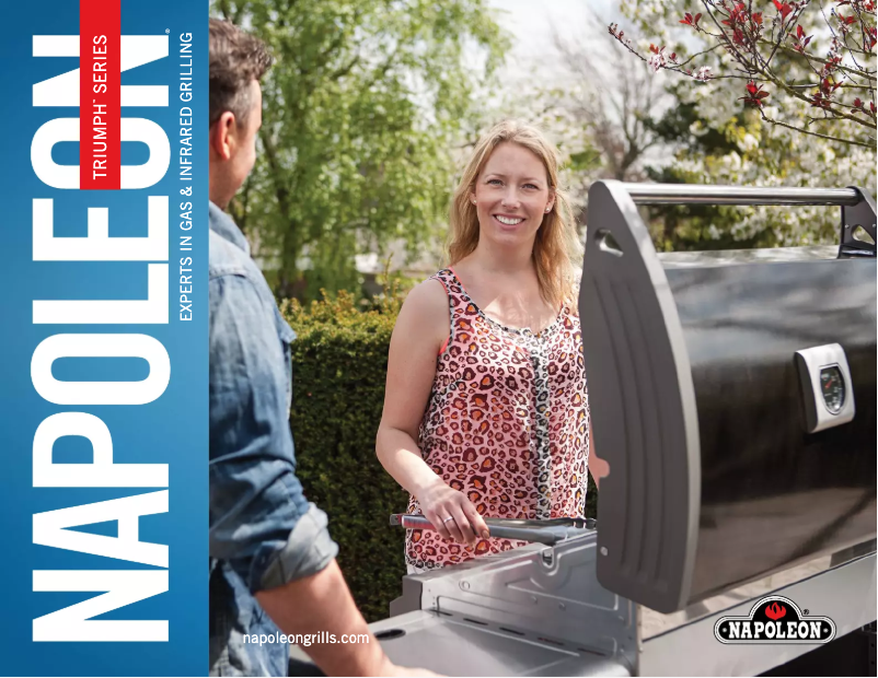 Page 1 of the manual Technical Sheet Napoleon Triumph T495