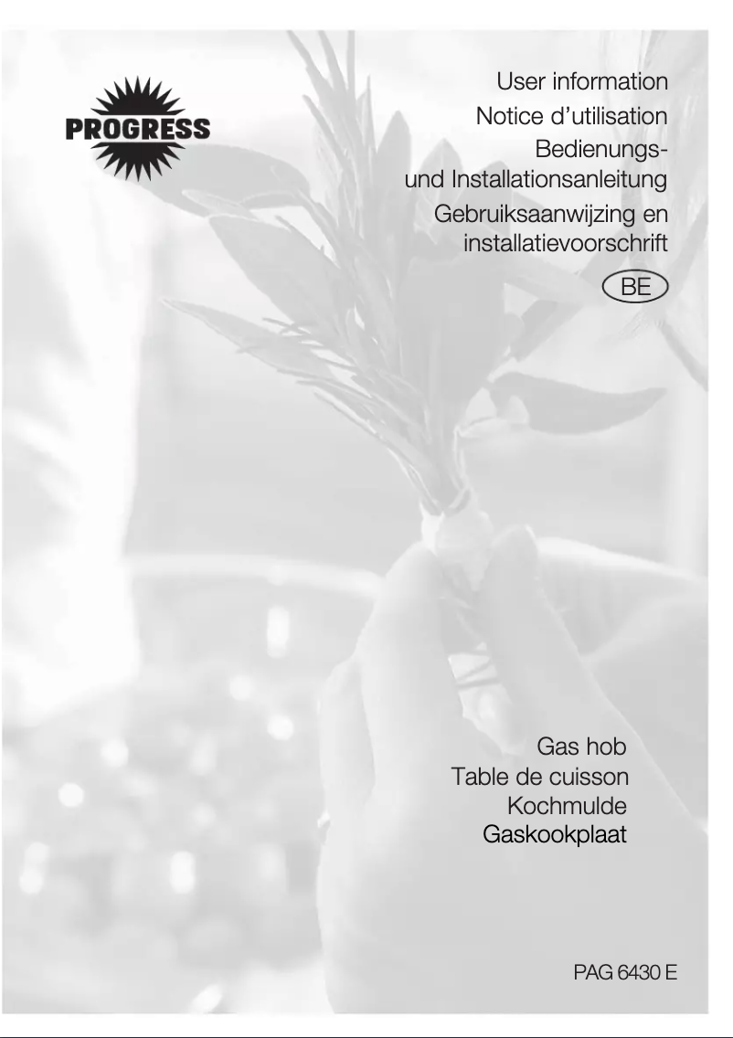 Page 1 de la notice Manuel utilisateur Progress PAG6430