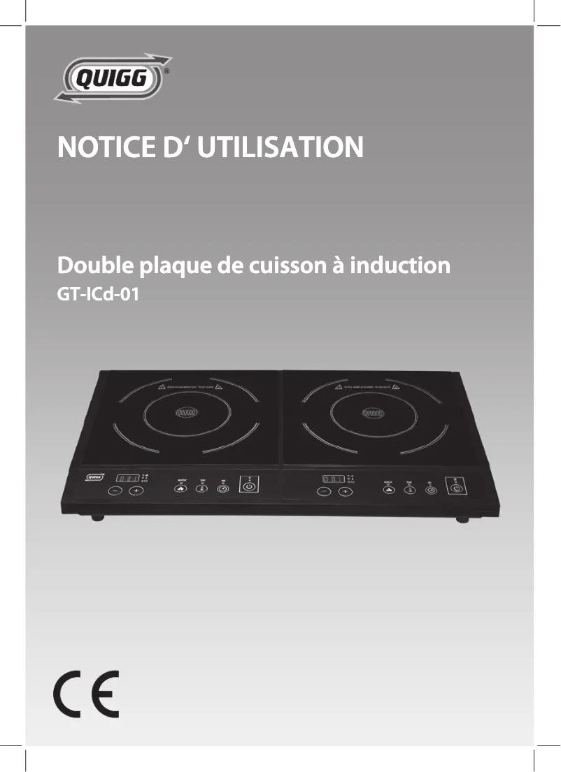 Page 1 of the manual User Manual Quigg GT-LCd-01