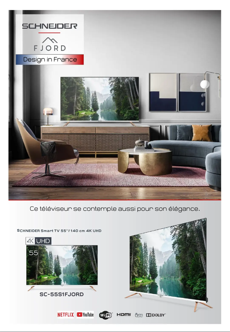 Page 1 de la notice Fiche technique Schneider SC55S1FJORD