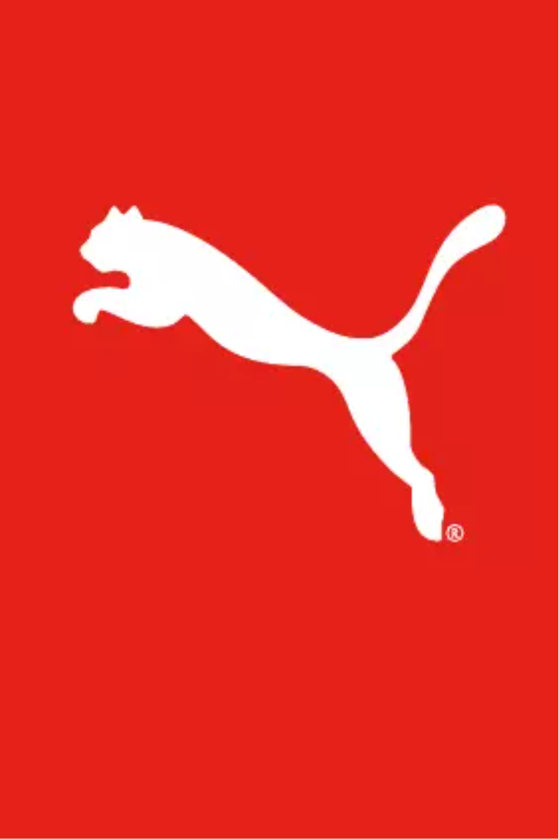 Page 1 de la notice Manuel utilisateur Puma Half Time