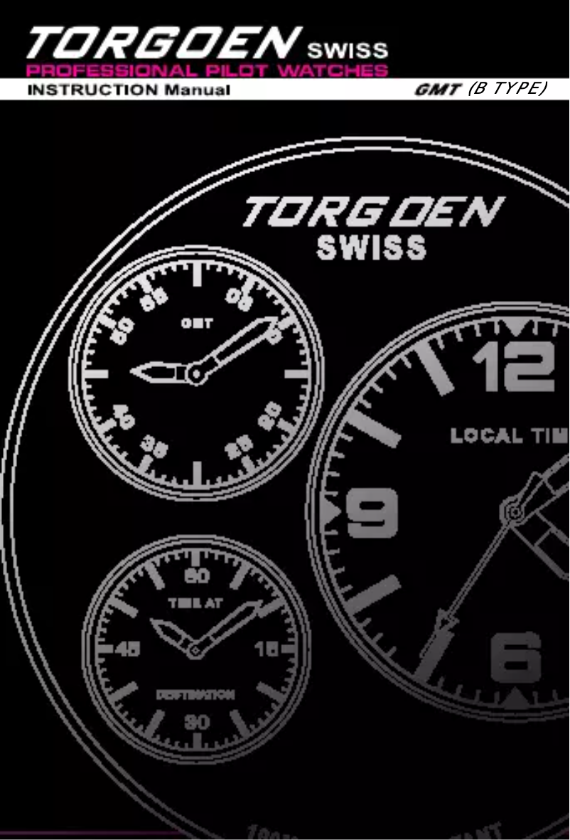 Page 1 de la notice Manuel utilisateur Torgoen Orion T08102