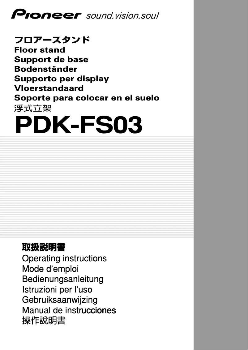Página 1 del manual Manual de usuario Pioneer PDK-FS03