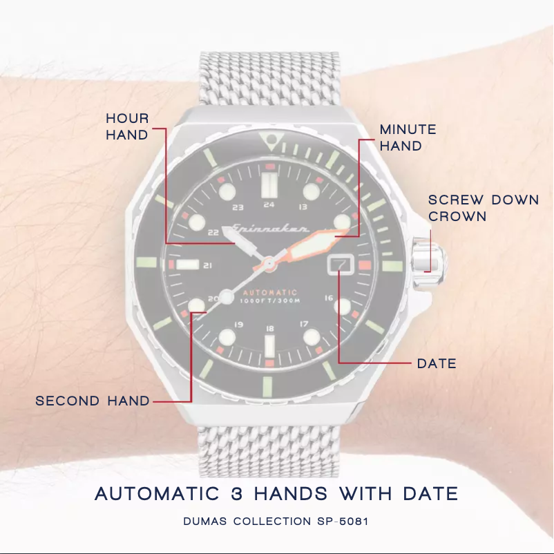 Page 1 de la notice Manuel utilisateur Spin Master Dumas SP-5081-44