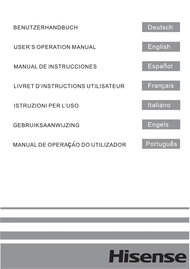 Page 1 of the manual User Manual Hisense FV341N4AS1