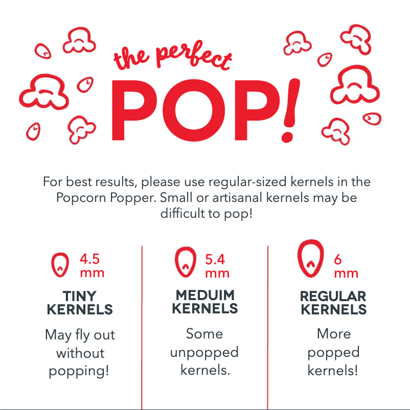 Page 1 de la notice Guide de démarrage rapide Dash DMPP100GBAQ04