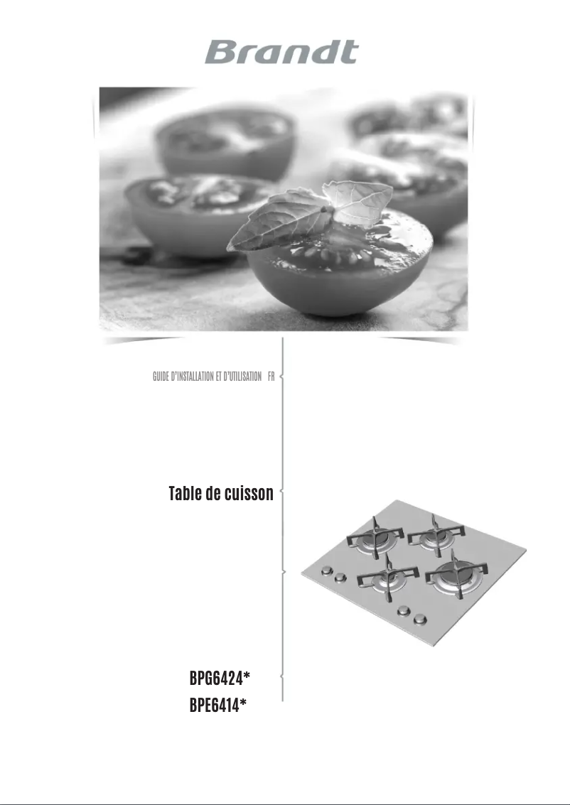 Page 1 de la notice Manuel utilisateur Brandt BPE6411FM