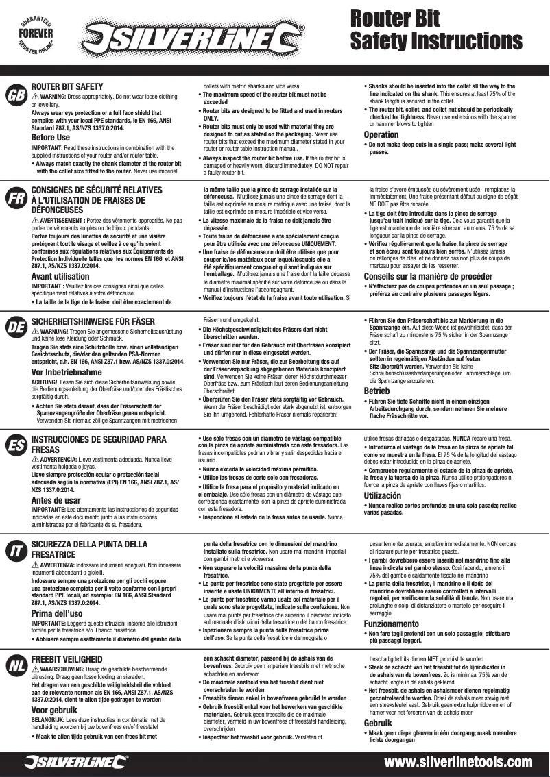 Page 1 de la notice Manuel utilisateur Silverline 766481