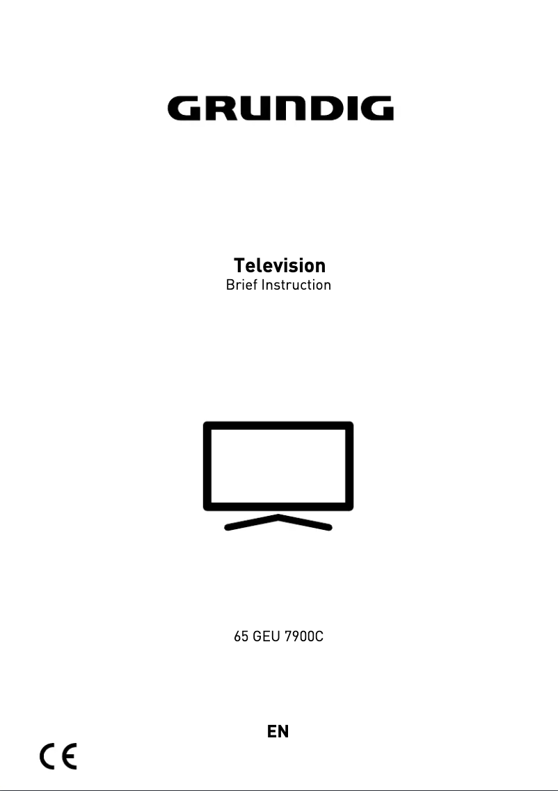 Page 1 de la notice Manuel utilisateur Grundig 65 GEU 7900C