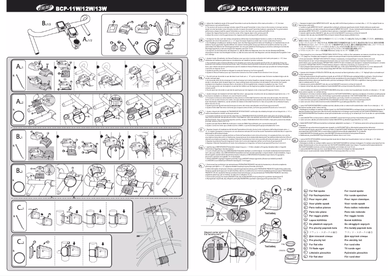 Page 1 de la notice Manuel utilisateur BBB BCP-13W
