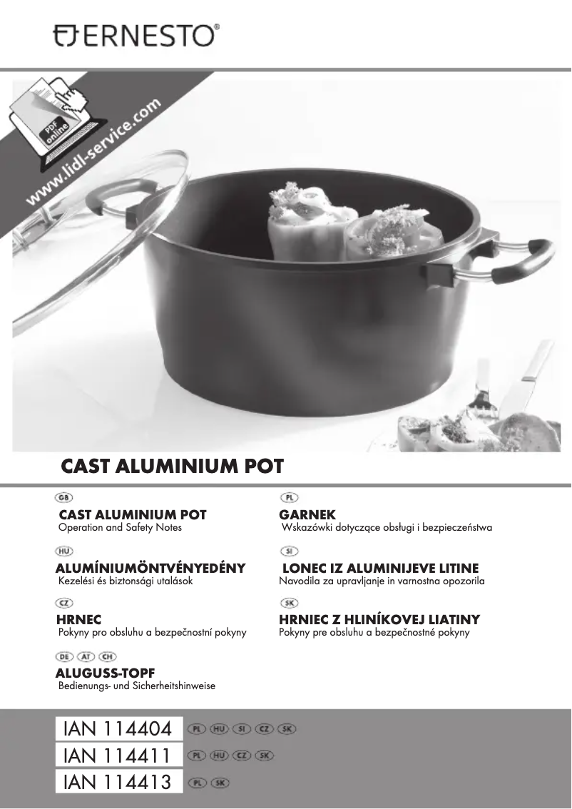 Page 1 de la notice Manuel utilisateur Ernesto IAN 069912