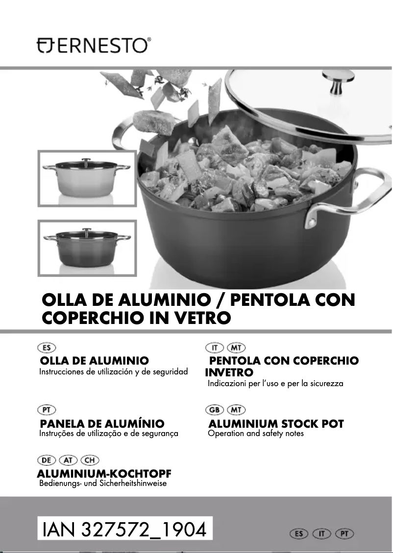 Page 1 de la notice Manuel utilisateur Ernesto HG05452