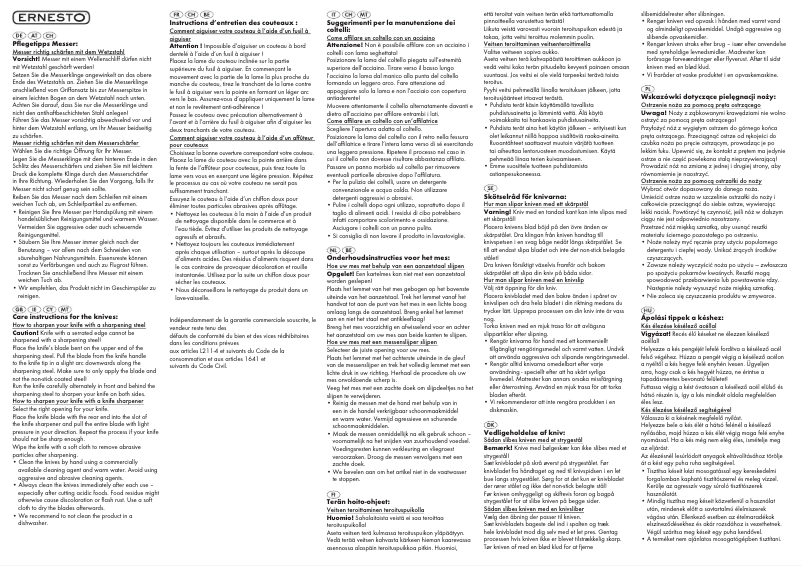 Page 1 de la notice Manuel utilisateur Ernesto IAN 106854