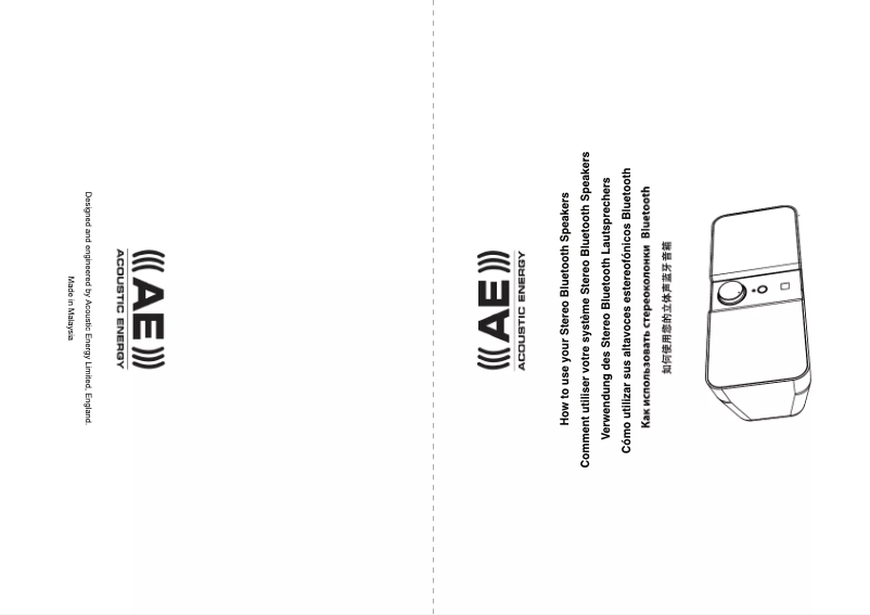 Page 1 de la notice Manuel utilisateur Acoustic Energy Bluetooth Speaker System