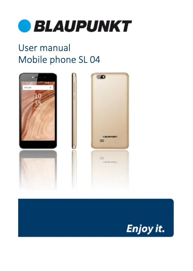 Page 1 de la notice Manuel utilisateur Blaupunkt SL 04