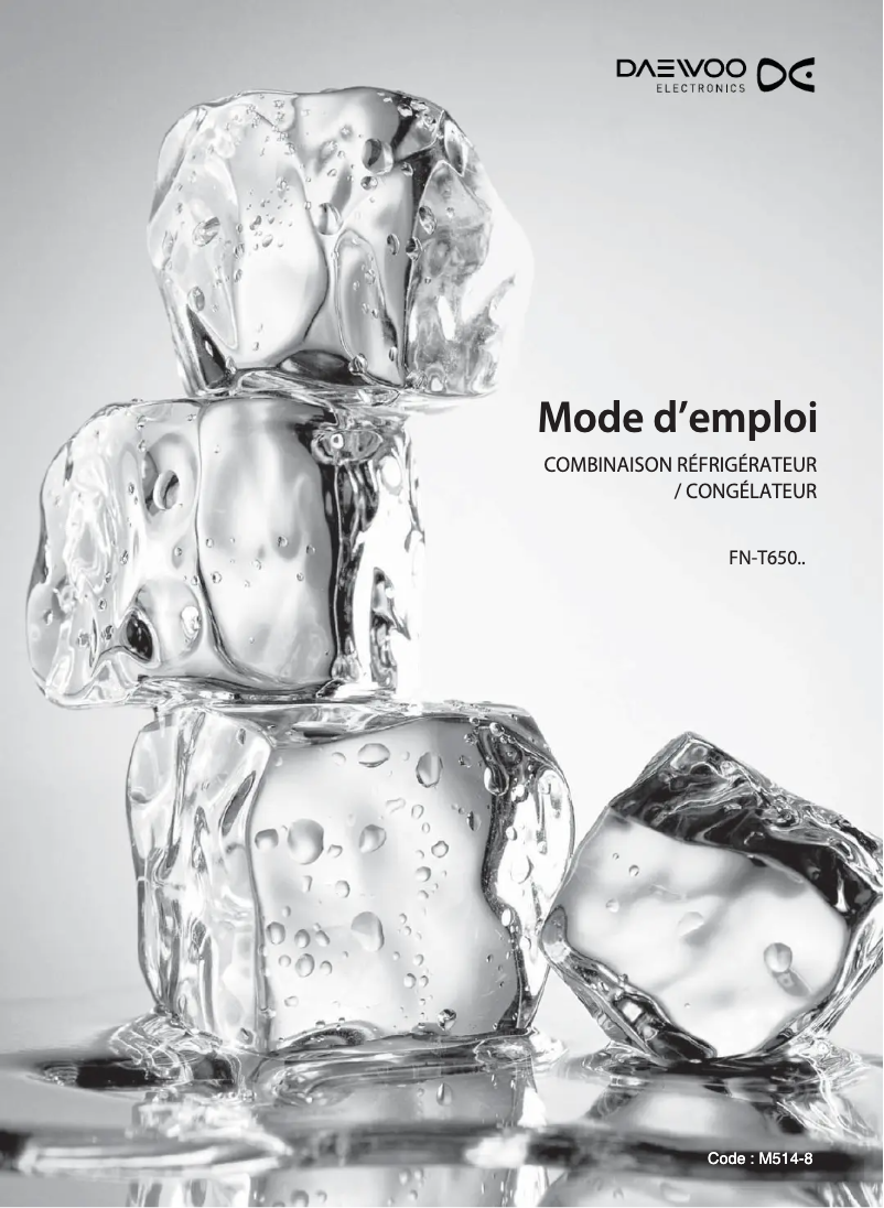 Page 1 de la notice Manuel utilisateur Daewoo FN-T650NB