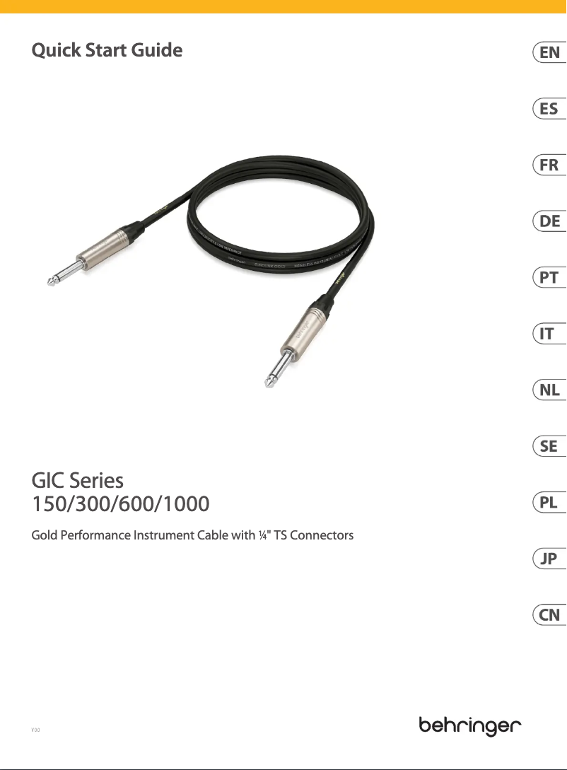 Page 1 de la notice Manuel utilisateur Behringer GIC-1000