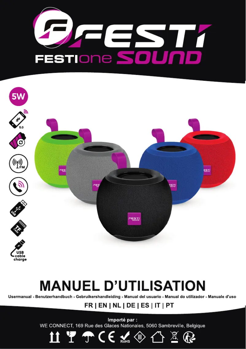 Page 1 de la notice Manuel utilisateur Festi Sound FESTI ONE