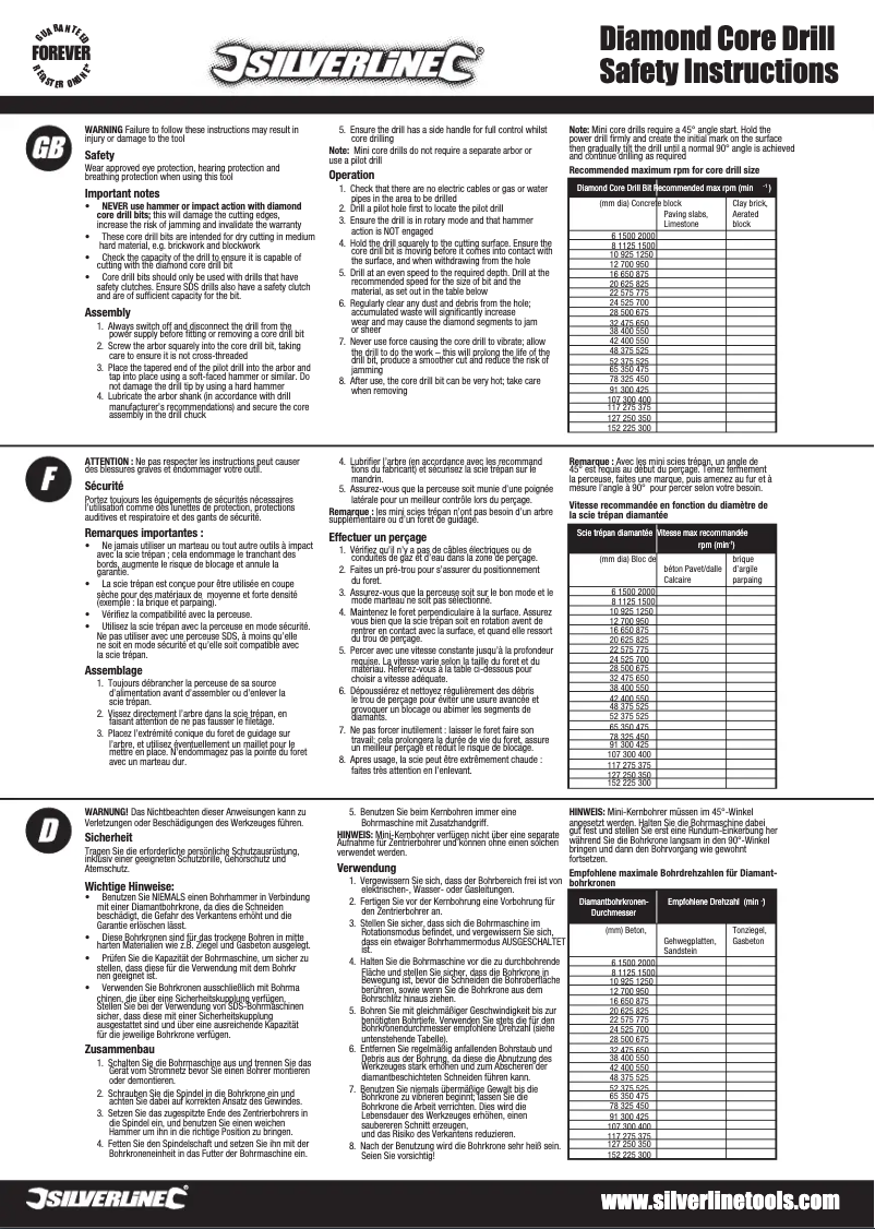 Page 1 de la notice Manuel utilisateur Silverline 675057
