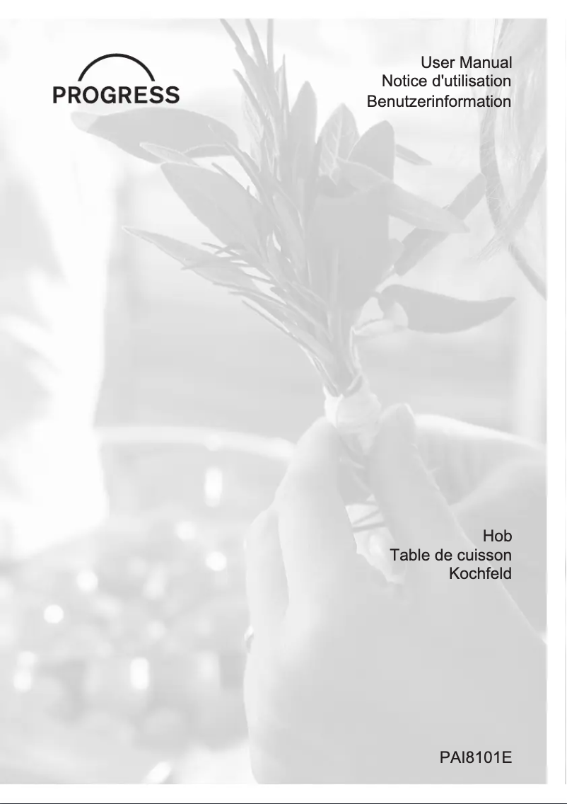 Page 1 de la notice Manuel utilisateur Progress PAI8101E