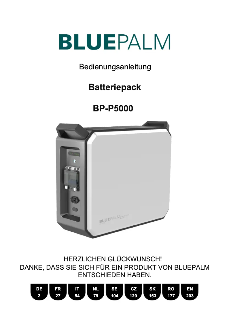 Page 1 de la notice Manuel utilisateur BLUEPALM BP-P5000