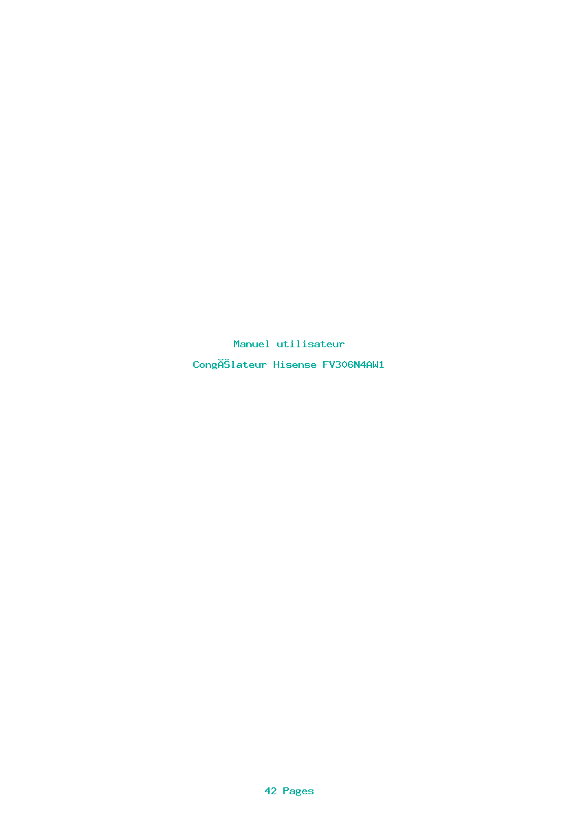 Page 1 de la notice Manuel utilisateur Hisense FV306N4AW1