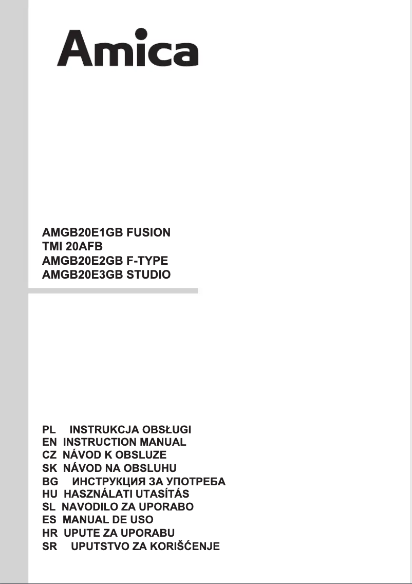 Page 1 de la notice Manuel utilisateur Amica AMGB20E3GB STUDIO