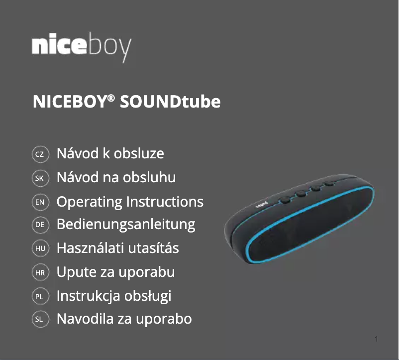 Page 1 of the manual User Manual Niceboy SoundTube