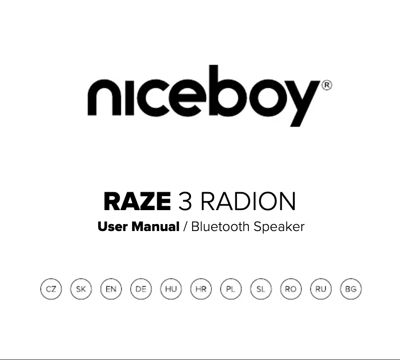 Page 1 de la notice Manuel utilisateur Niceboy RAZE 3 Radion
