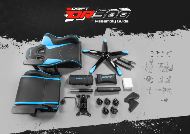 Page 1 de la notice Manuel utilisateur Drift DR300