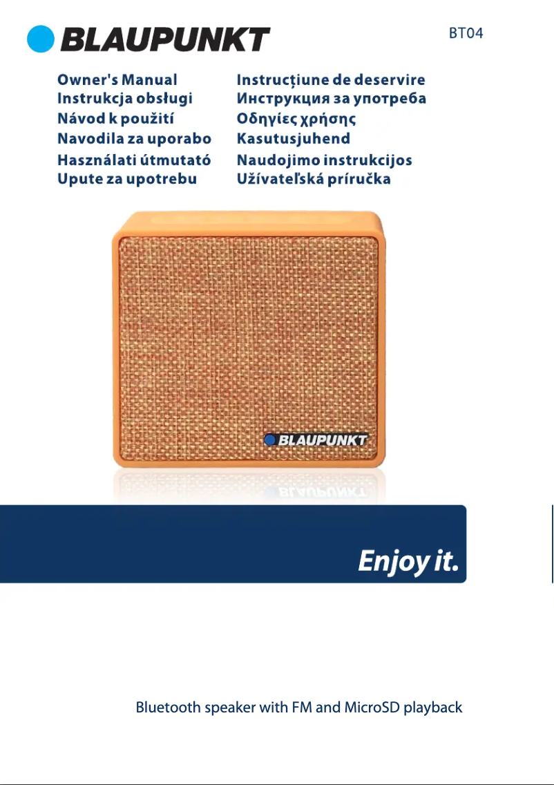 Page 1 of the manual User Manual Blaupunkt BT04OR