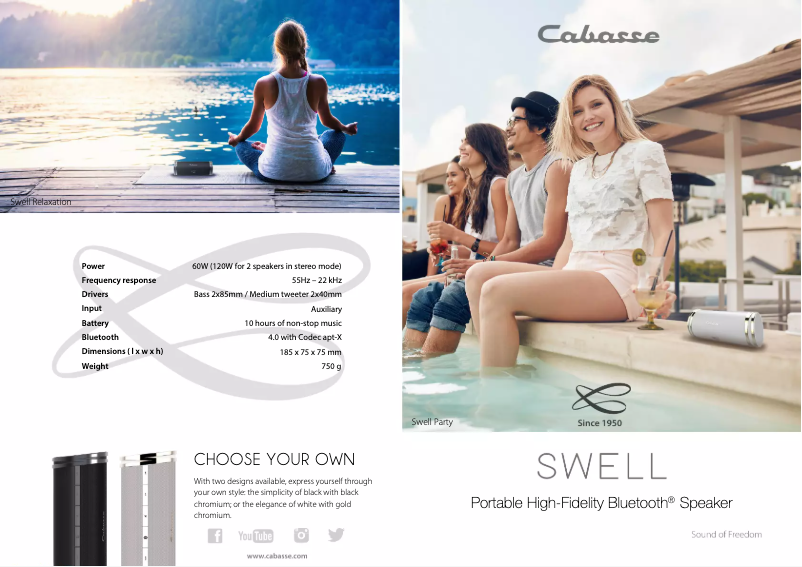 Page 1 de la notice Brochure Cabasse Swell